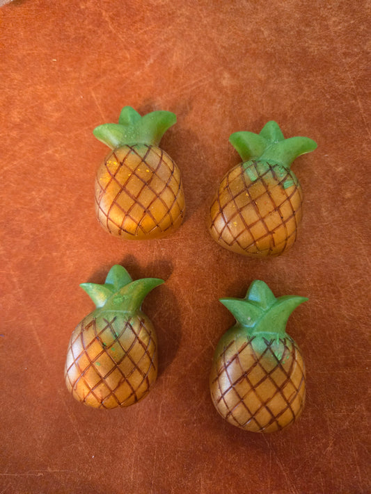 Pineapple magnets
