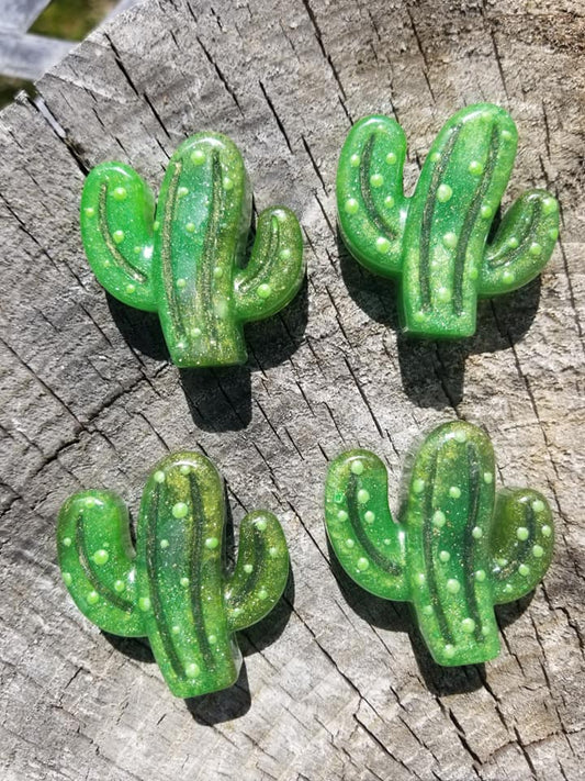 Cactus Magnets