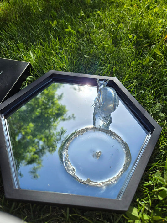 Small snail water droplet mirror