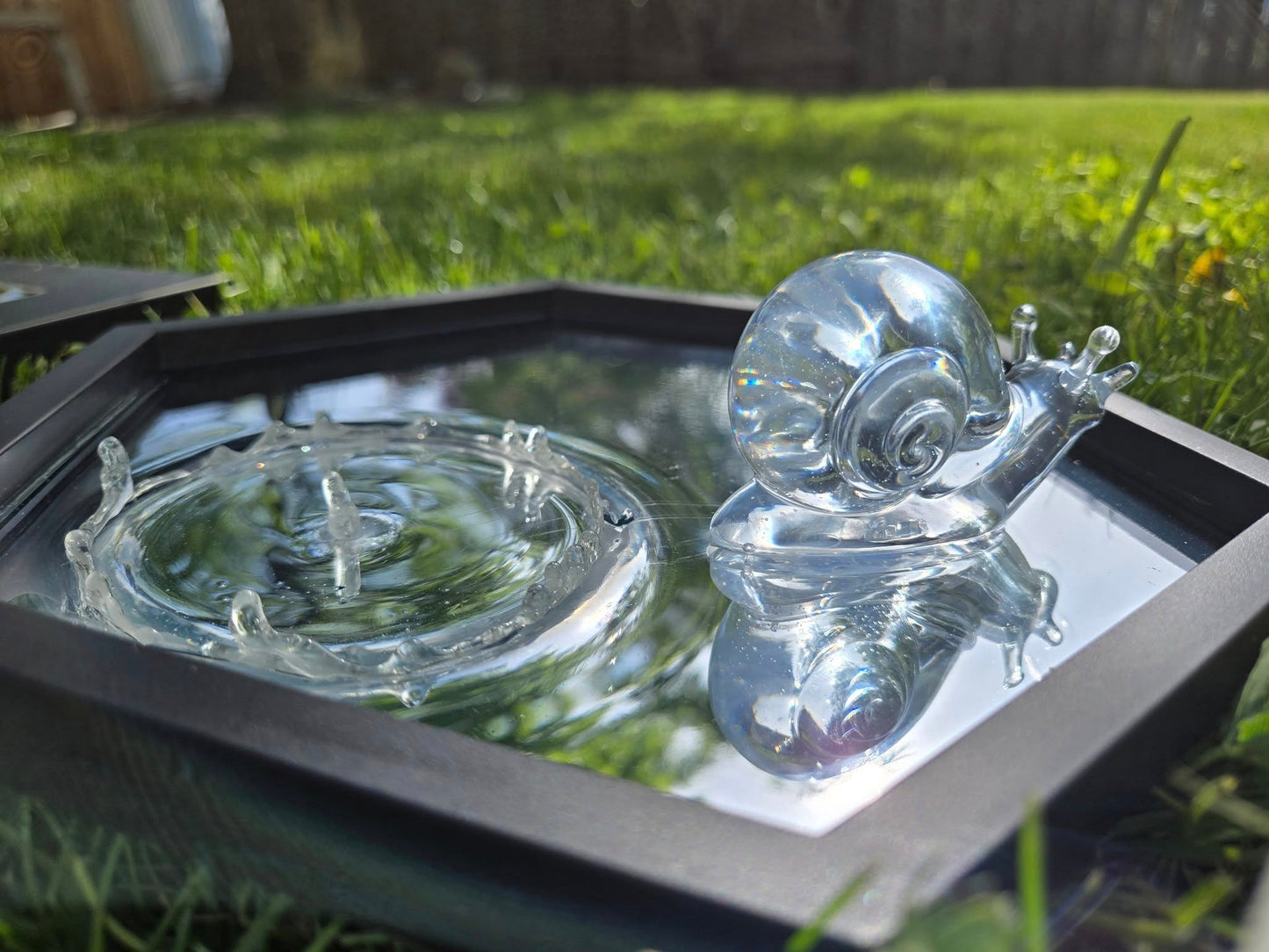 Small snail water droplet mirror