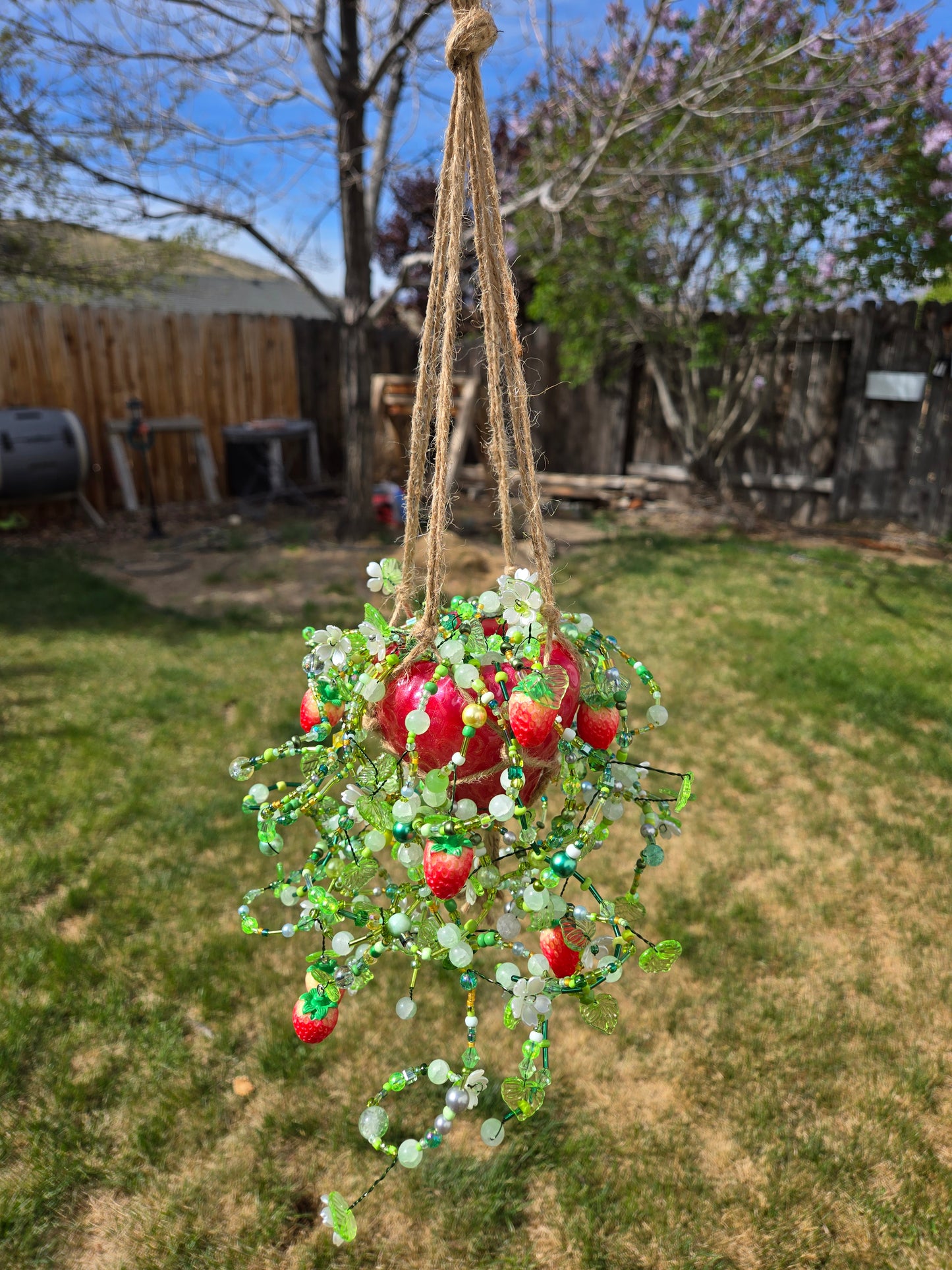 Strawberry potted plant suncatcher